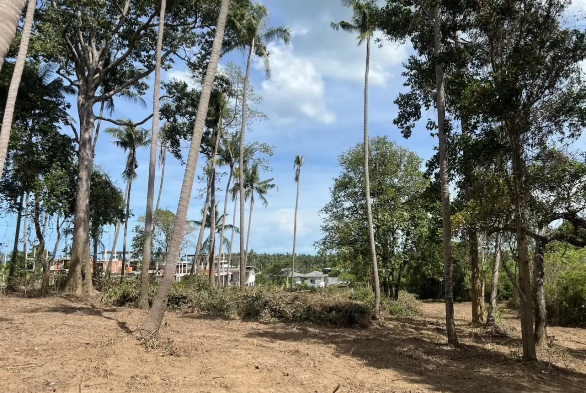 Lamai Land Plots For Sale Surroundings
