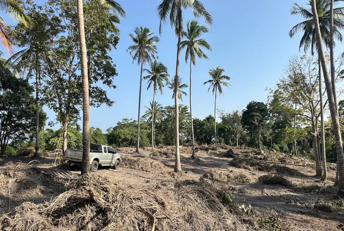 Koh Samui Sea View Land Parcel