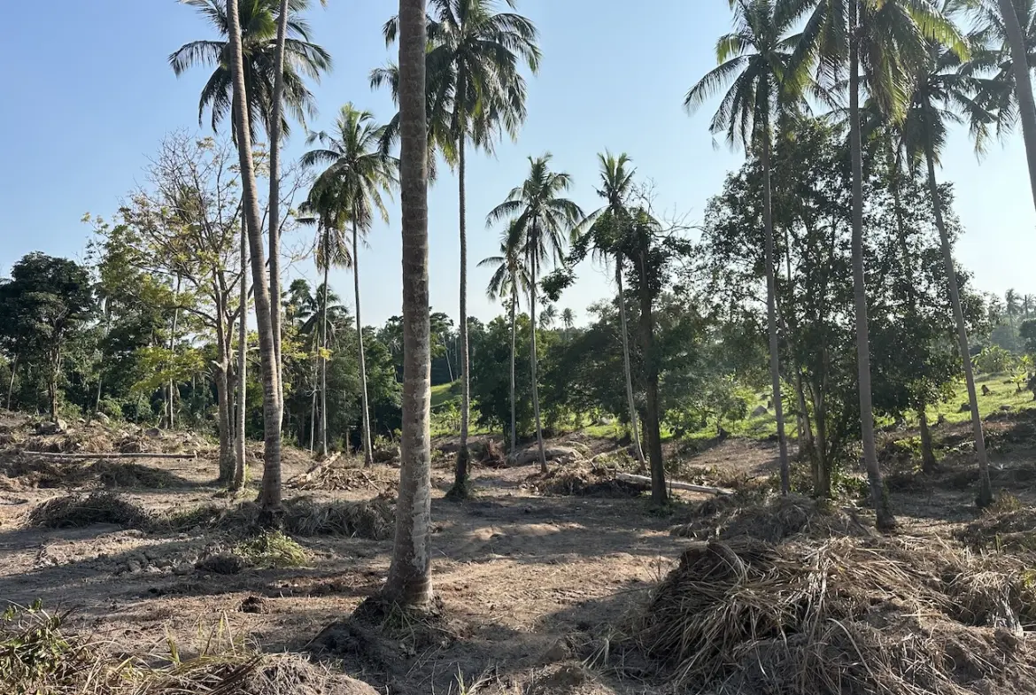 Koh Samui Sea View Land Parcel