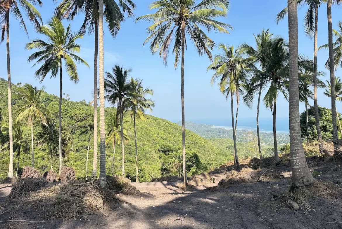 Koh Samui Sea View Land Parcel