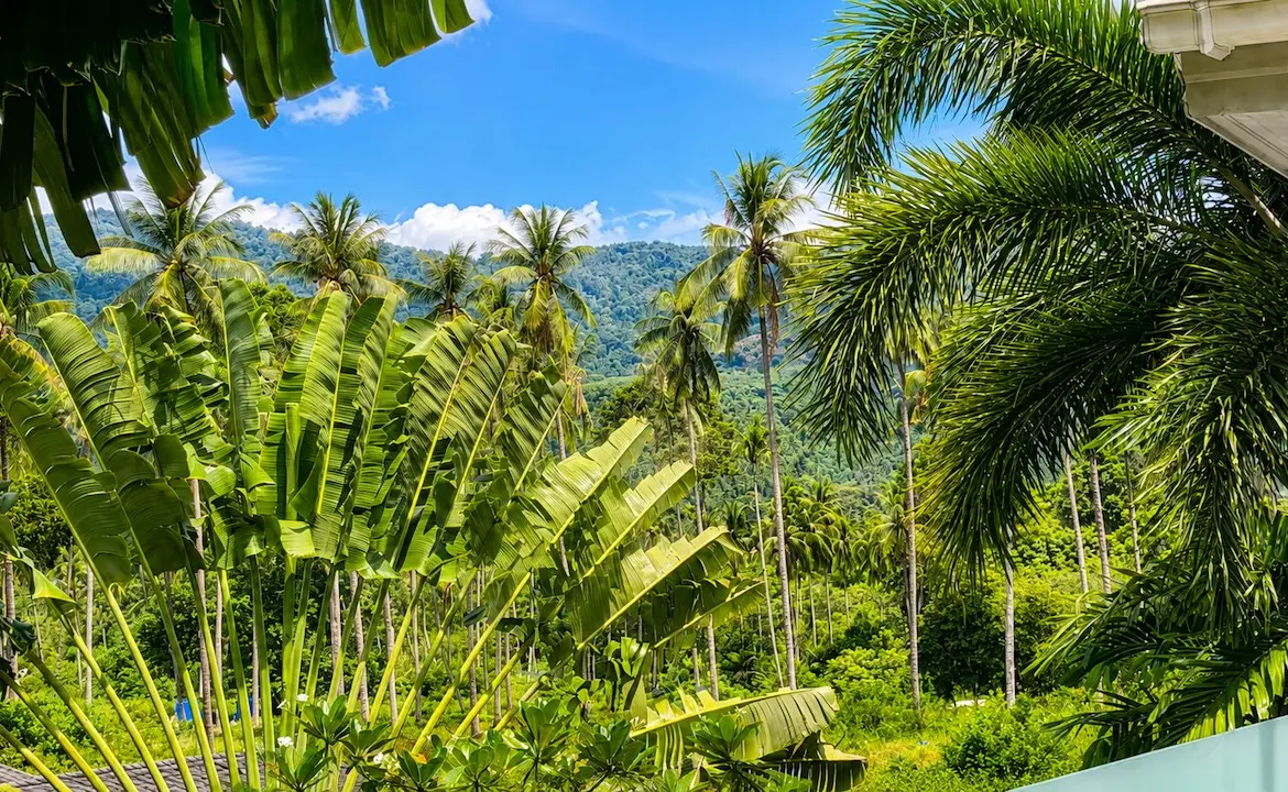 Lamai 4-Bedroom Investment Property View
