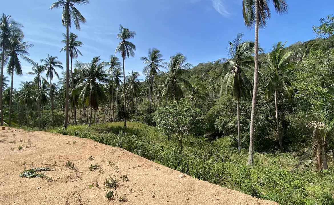 Land plots in Bang Por For Sale plot B