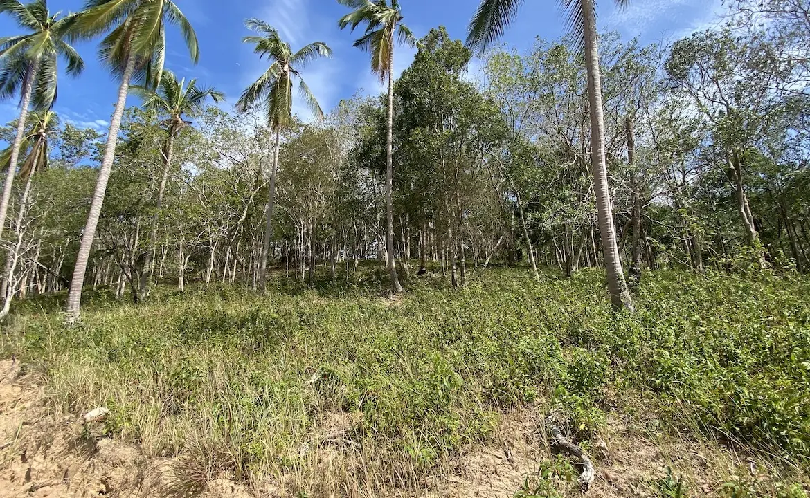 Land plots in Bang Por For Sale plot A