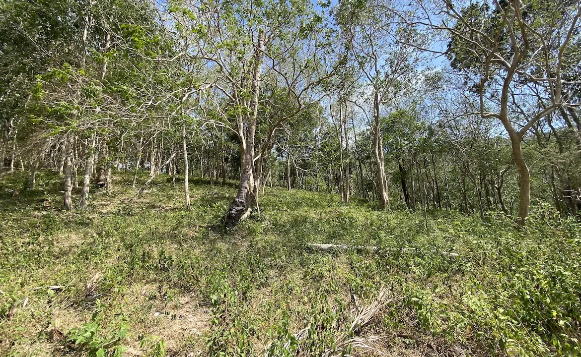 Land plots in Bang Por For Sale Plot A