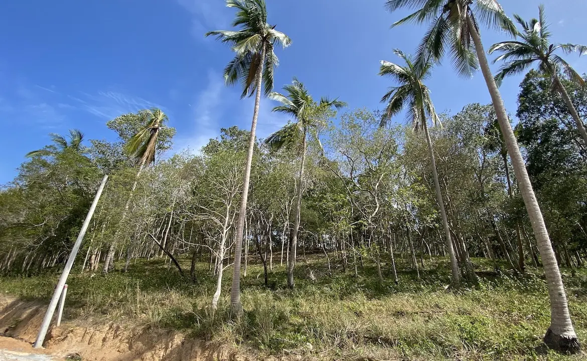 Land plots in Bang Por For Sale plot A