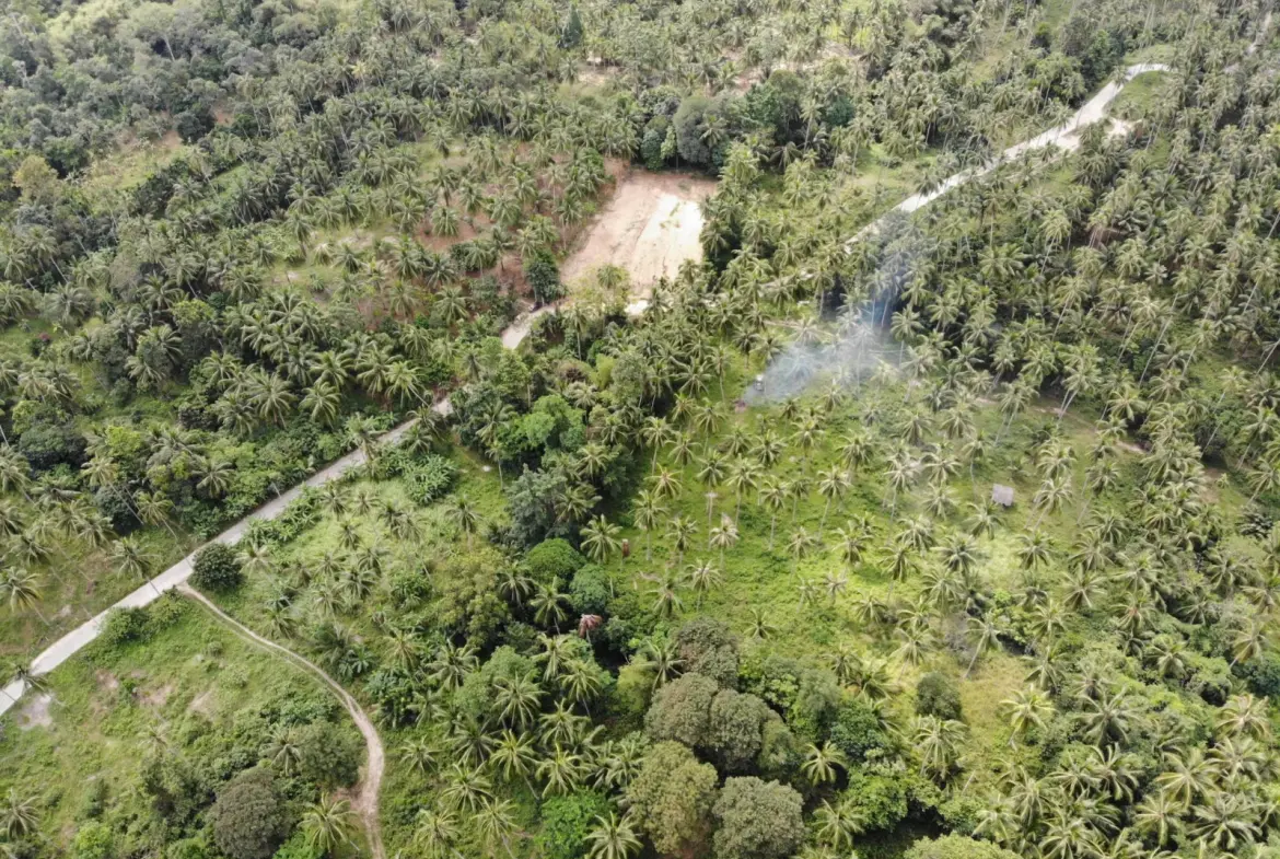 Maenam Samui Land Plot for Sale overall