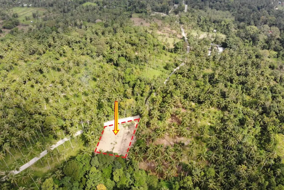 Maenam Samui Land Plot for Sale Overall