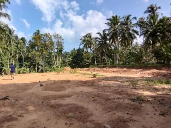 Maenam Samui Land Plot for Sale cleared land