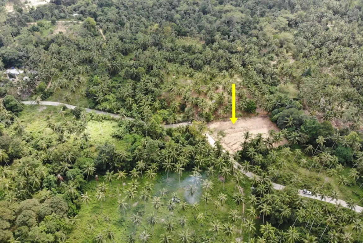 Maenam Samui Land Plot for Sale area