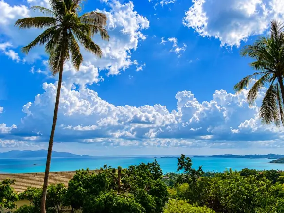 Premier Koh Samui Sea View Land