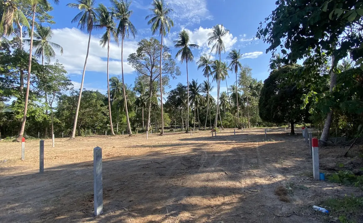 Angthong Land Plots Coconut trees View