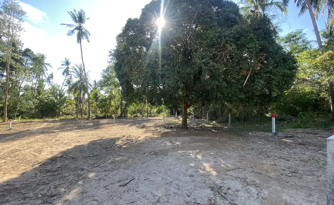 Angthong Land Plots First Plot