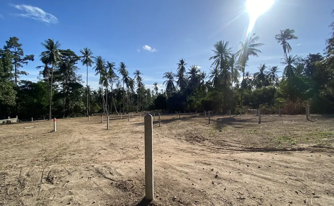 Angthong Land Plots Overall