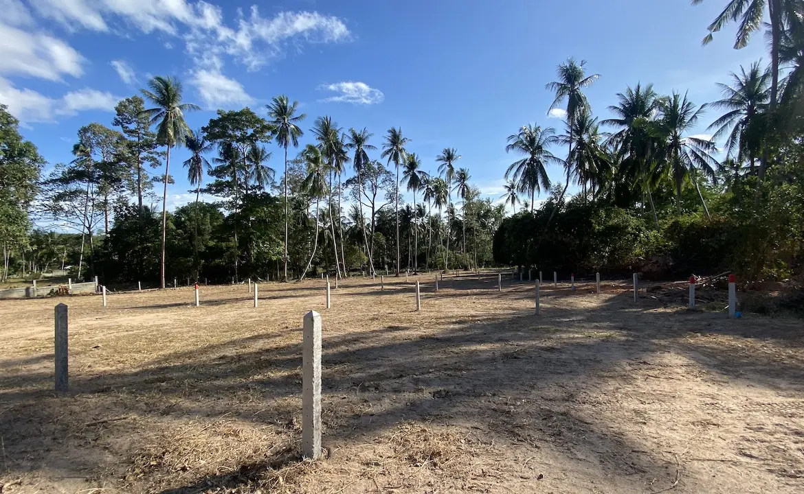 Angthong Land Plots Overall
