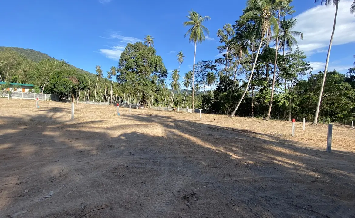 Angthong Land Plots Mountain View