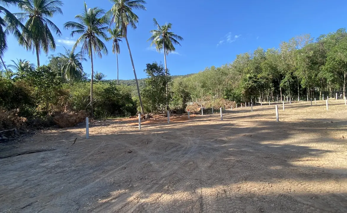 Angthong Land Plots Border