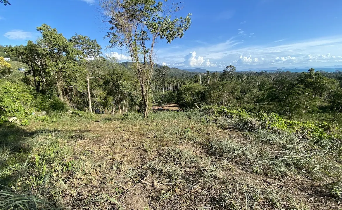 Angthong Seaview Land Overall