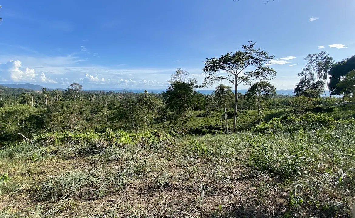 Angthong Seaview Land View