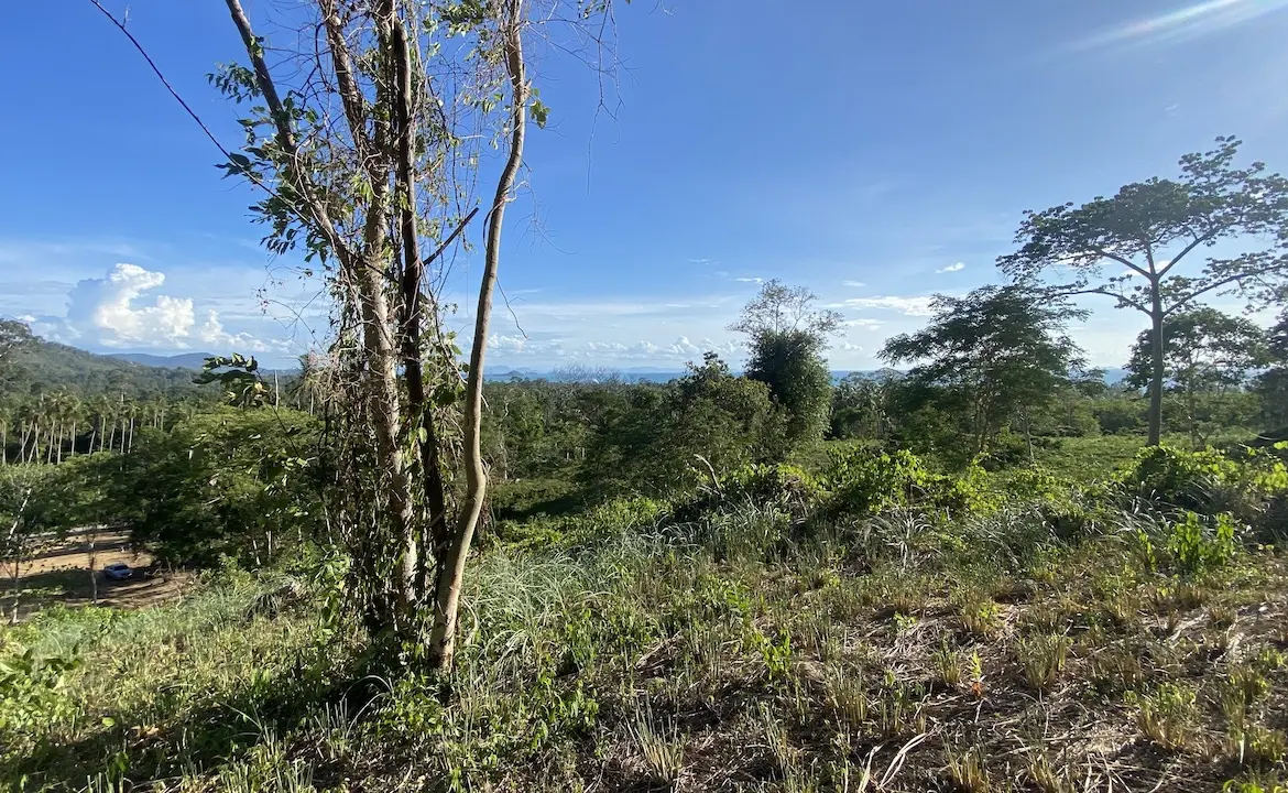 Angthong Seaview Land Top Land