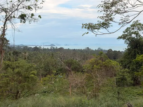 Angthong Seaview Land View