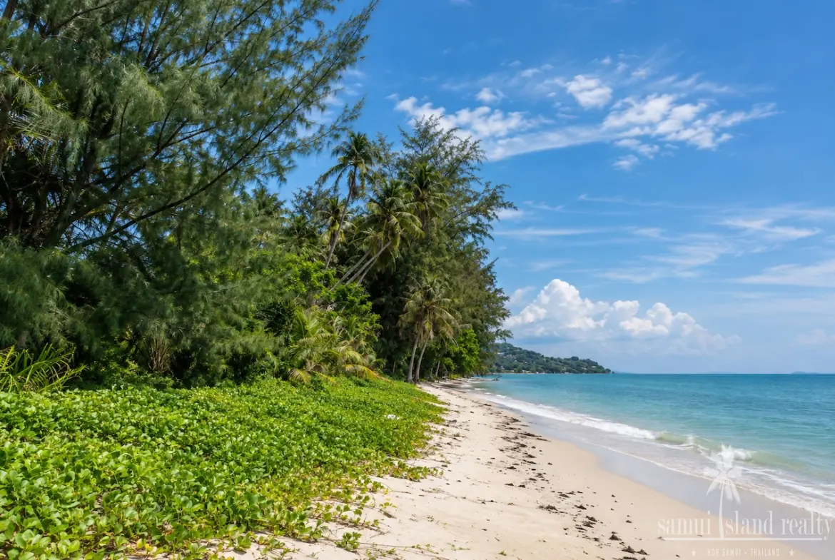 Ban Kao Beach Land Front