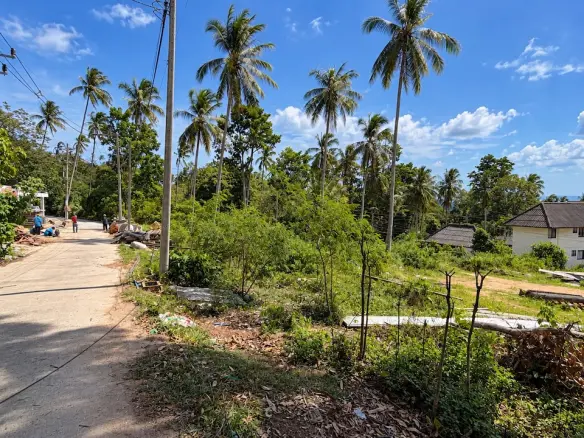 Chaweng Building Plot Road