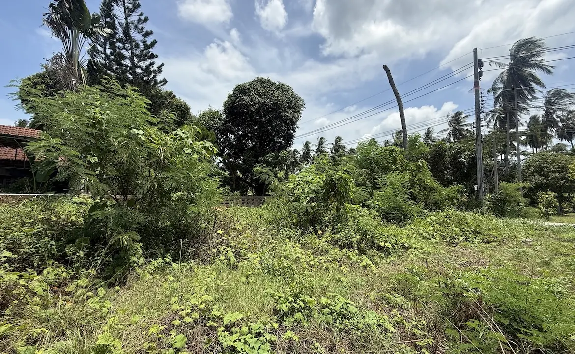 Koh Samui Land Plot In Hua Thanon