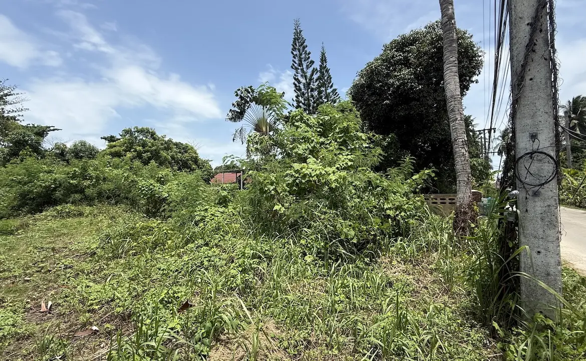 Koh Samui Land Plot In Hua Thanon Front