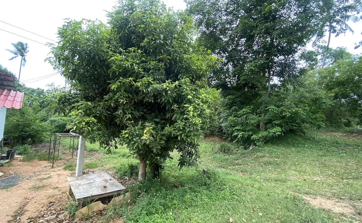 Land Plots Lamai Front