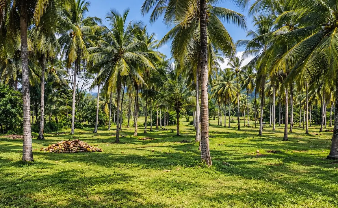 Taling Ngam Development Land