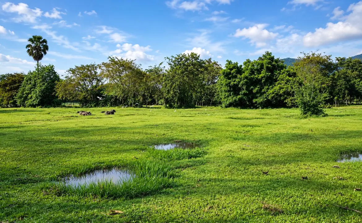 Taling Ngam Development Land