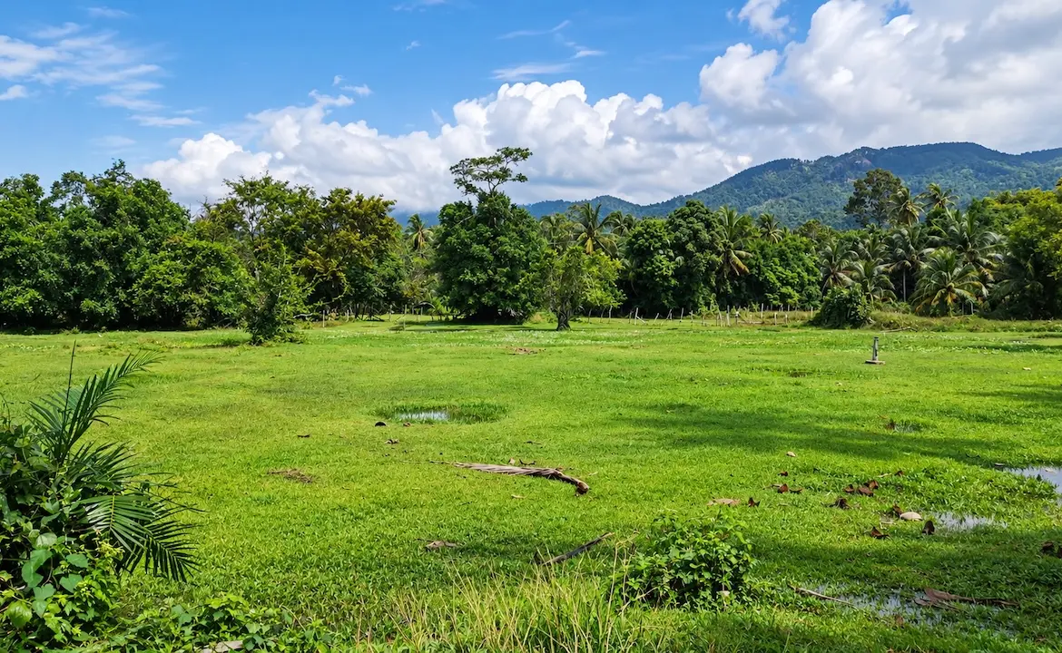 Taling Ngam Development Land
