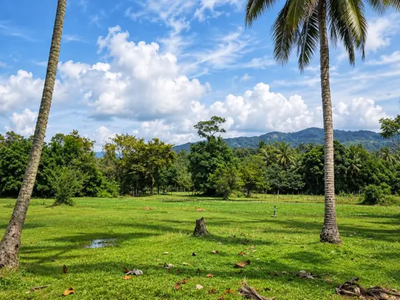 Taling Ngam Development Land