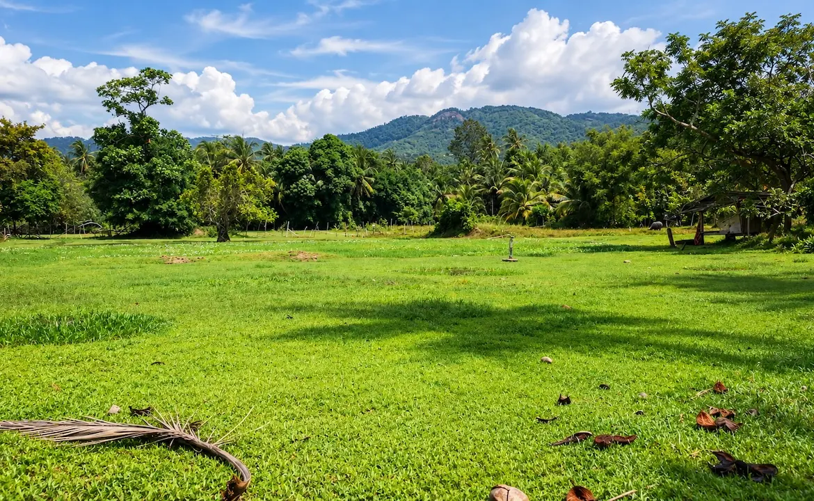 Taling Ngam Development Land