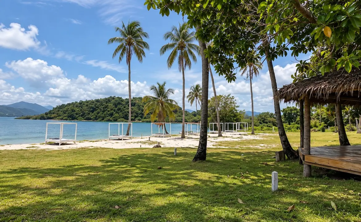 Koh Som Beach Land Coconut Trees