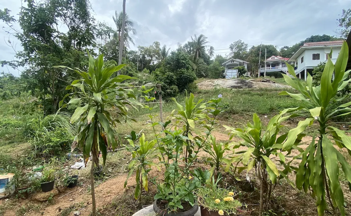 Land Plots At Lamai Border
