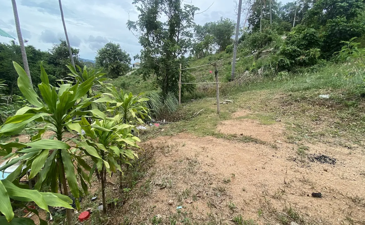 Land Plots At Lamai Area
