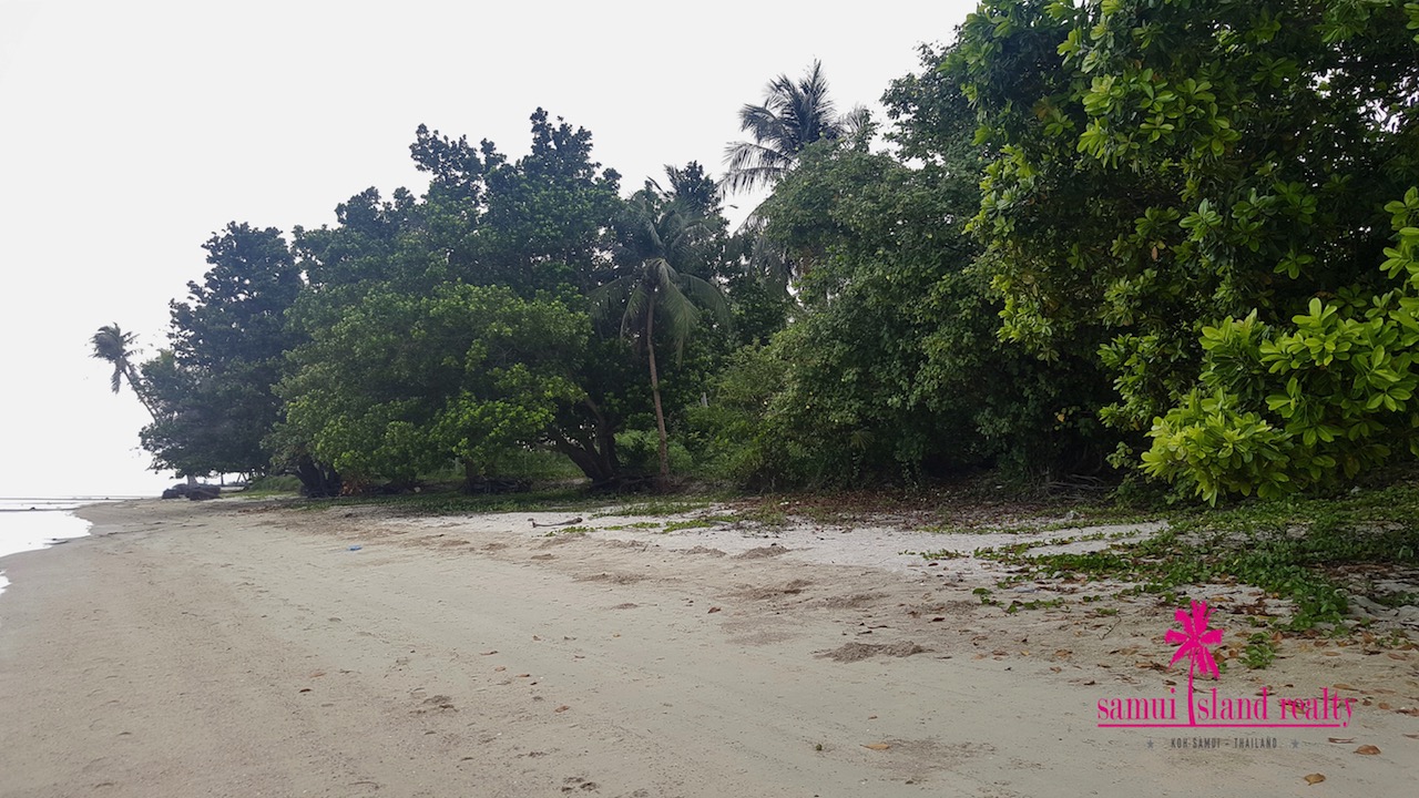 Hua Thanon Beachfront Land For Sale Samui Trees