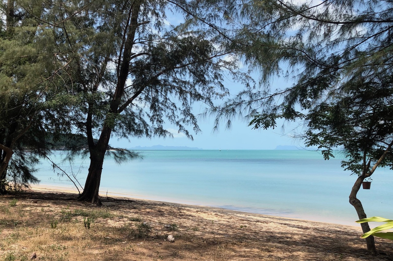 Lipa Noi Beachfront Land For Sale Koh Samui Trees