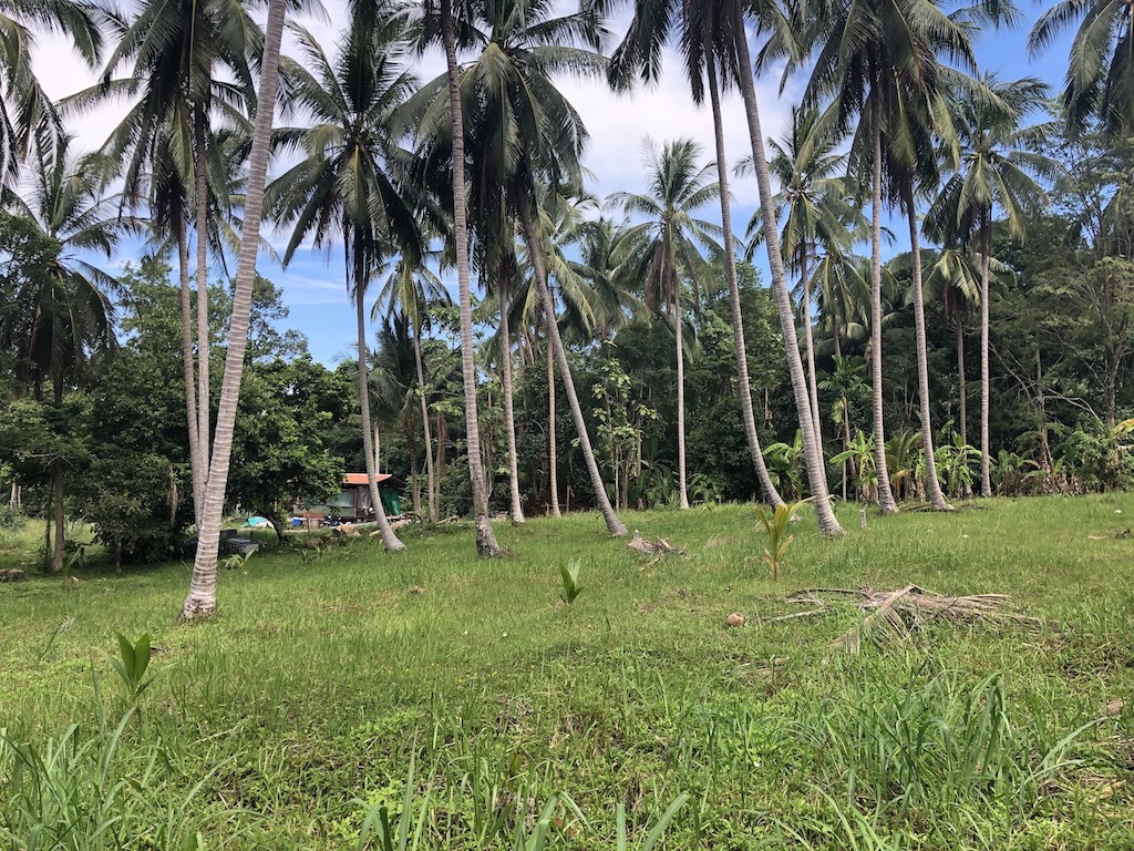 Nathon Land Plots For Sale Koh Samui