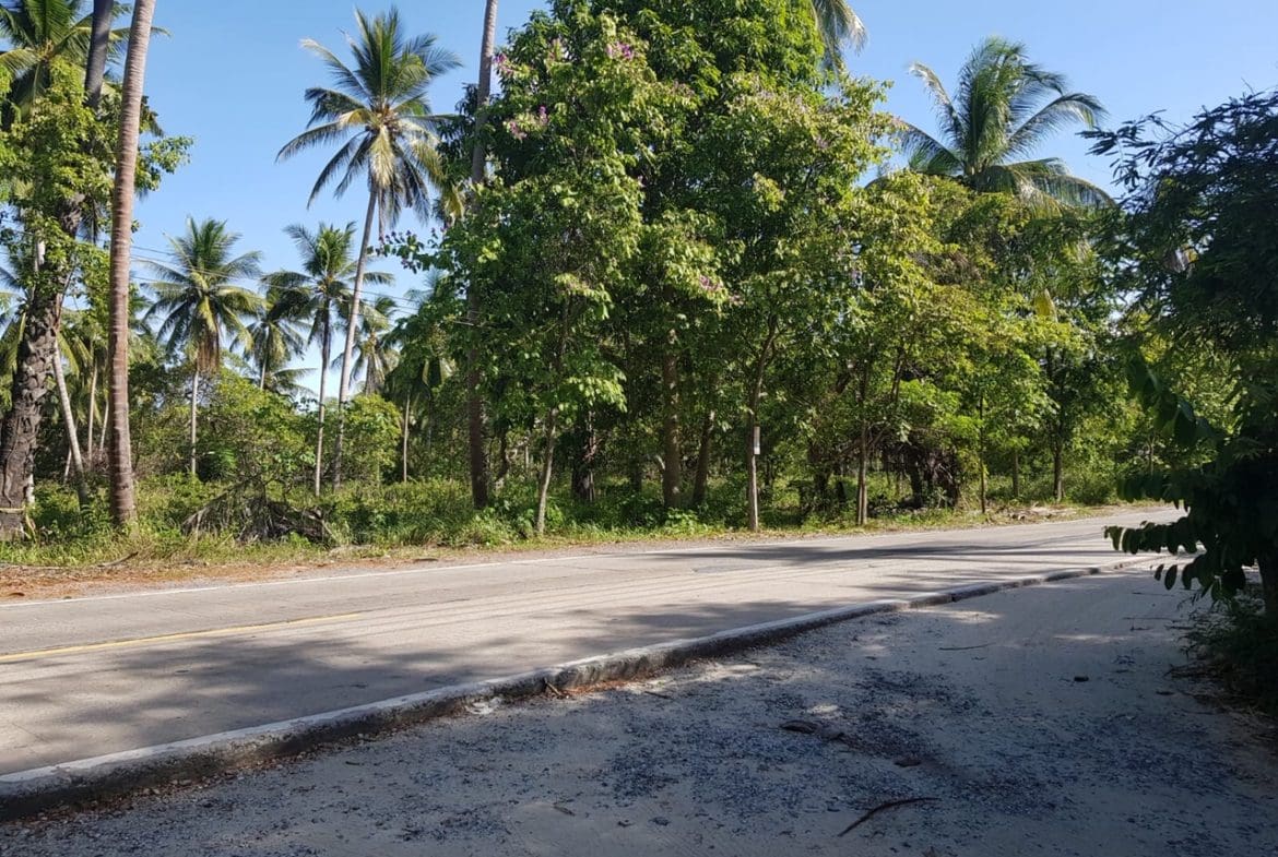 Samui Beachfront Land For Sale Lipa Noi Access Road