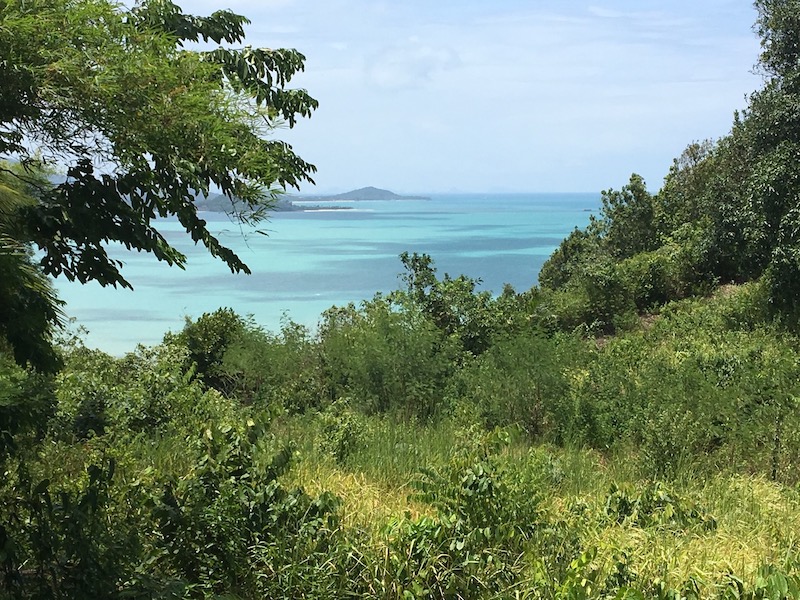Samui Land With Build Permits For Sale