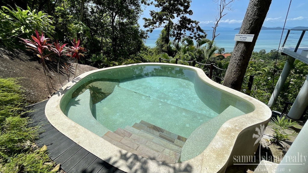 Plunge Pool