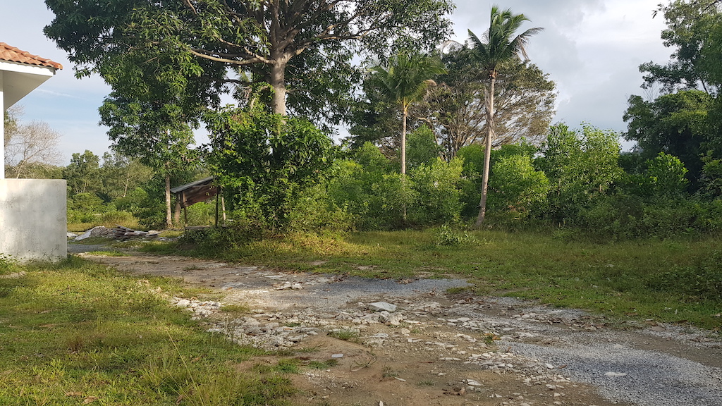Tropical View Land Plot For Sale Namuang