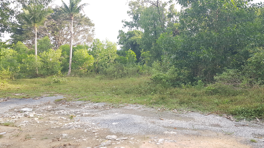 Tropical View Land Plot For Sale Namuang 2