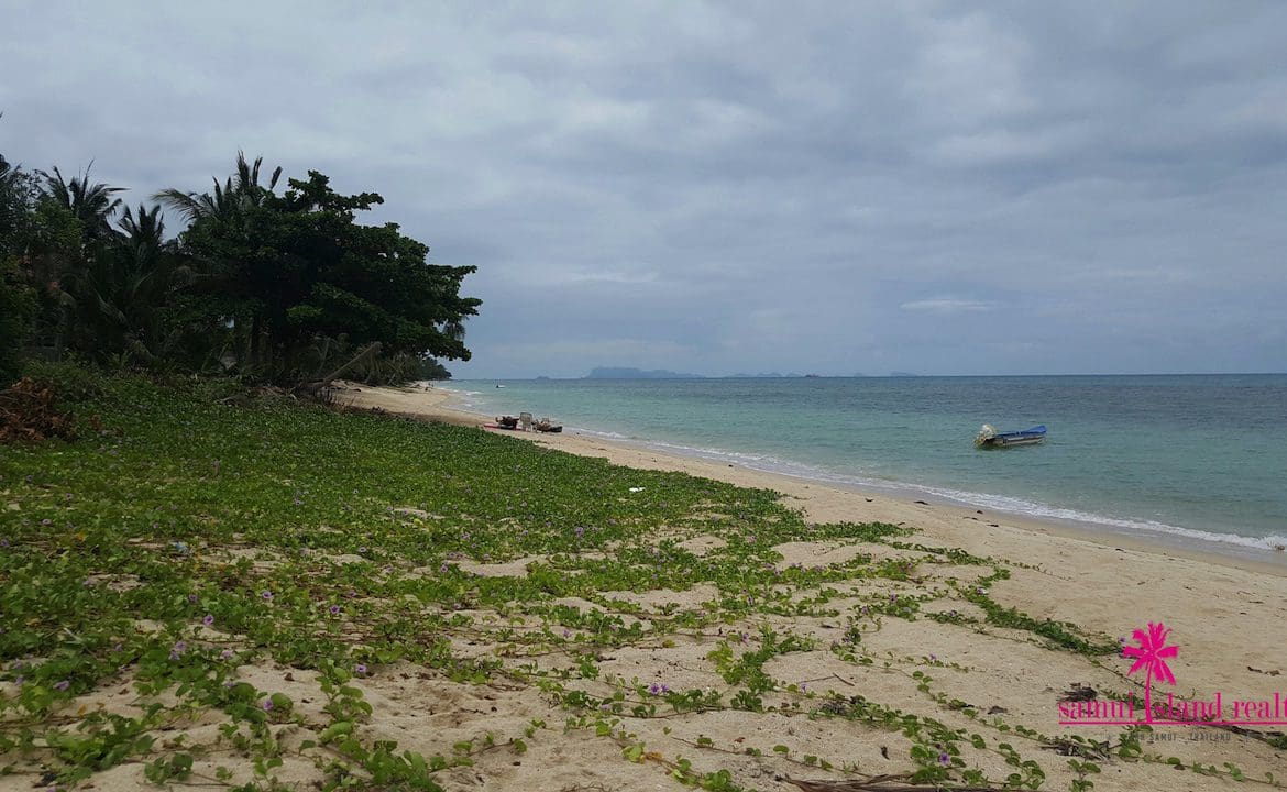 Bang Po 3 Rai Beach Land For Sale Koh Samui View