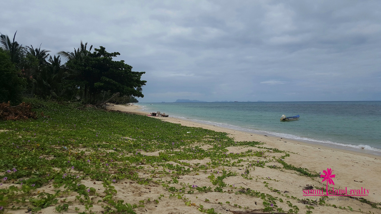 Bang Po 3 Rai Beach Land For Sale Koh Samui View