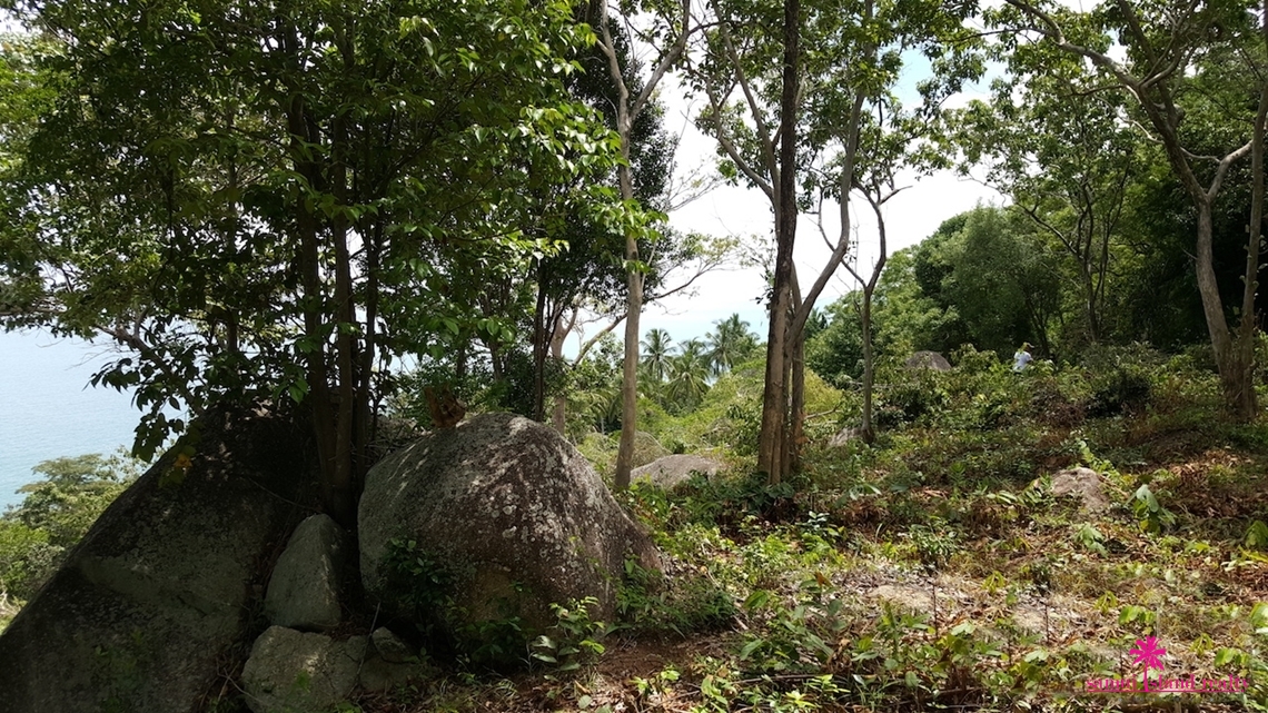 Chaweng Noi Sea View Land For Sale Landscape