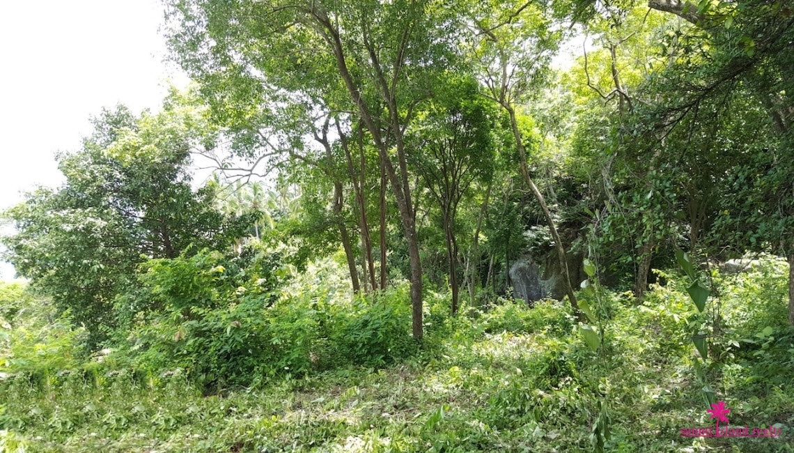 Chaweng Noi Sea View Land For Sale