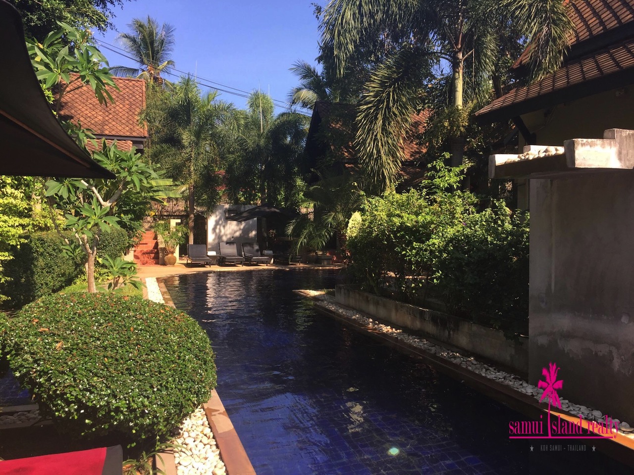 Koh Samui Resort For Sale Koh Samui Resort For Sale Swimming Pool